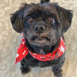 Meet your Posher, Marianne